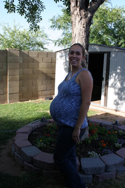 prego jess