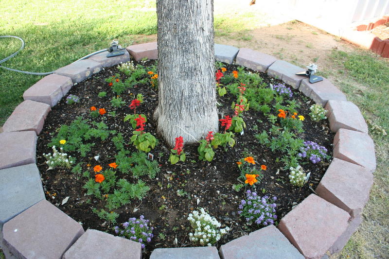 Jess' flowers