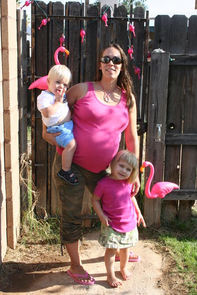Pink Flamingos