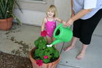 ali watering plants