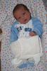 a week old