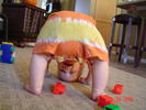Peek A Boo
