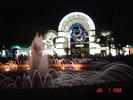 Beautiful Shamu