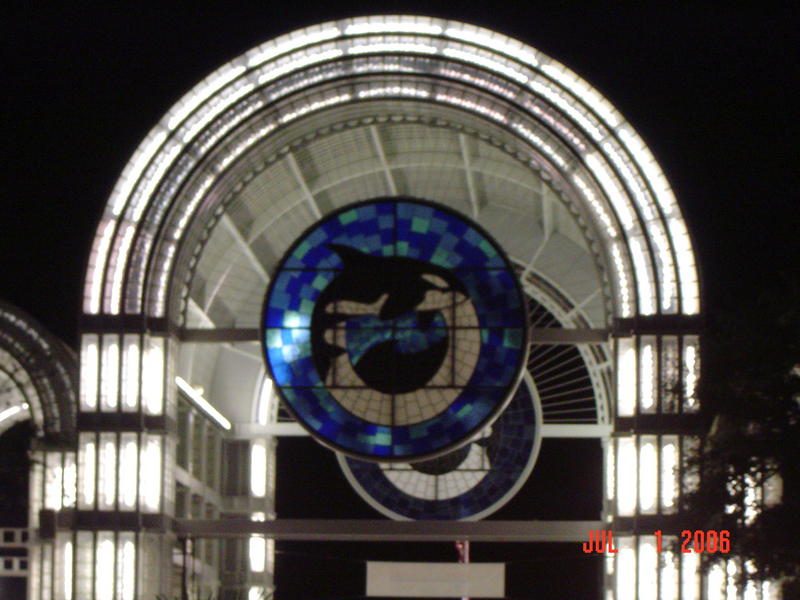 Close up Shamu