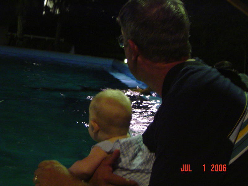 Watching Dolphins