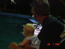 Watching Dolphins