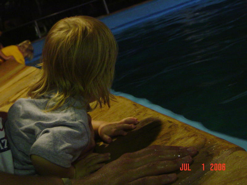Checking out dolphins