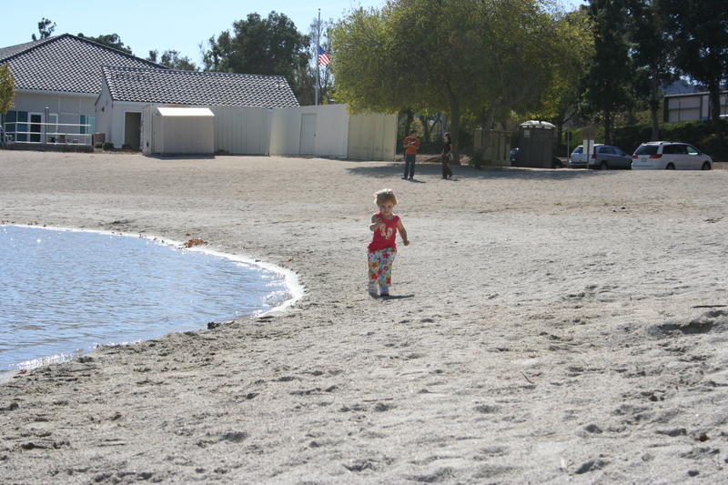 Ali running